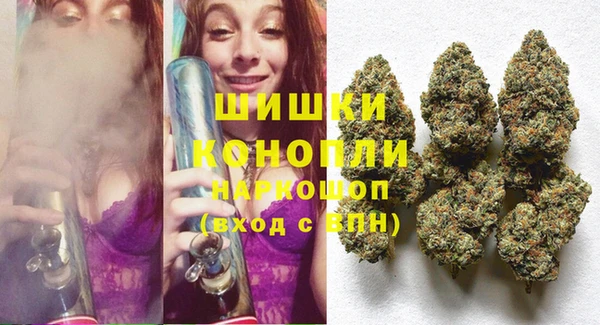 прущие грибы Кукмор