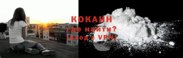 прущие грибы Кукмор