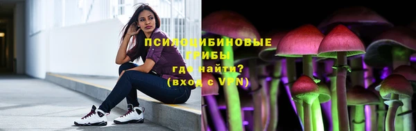a pvp Кулебаки