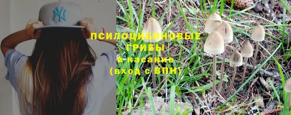 кристаллы Куйбышев