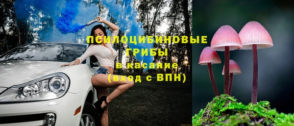a pvp Кулебаки