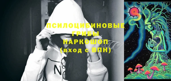 PSILOCYBIN Краснотурьинск