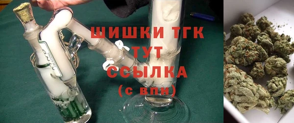 таблы Краснослободск