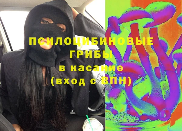 таблы Краснослободск