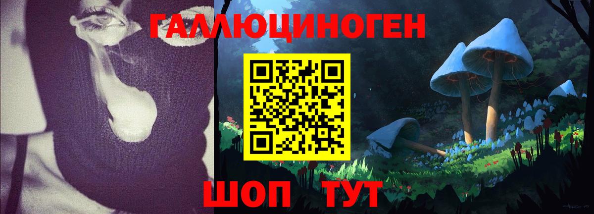 продажа наркотиков  Галлюциногенные грибы MAGIC MUSHROOMS  Вход с VPN  Муравленко  Псилоцибиновые грибы мицелий 